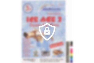 Ice Age 2