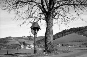 Kahler Baum und Marterl im Unteribental