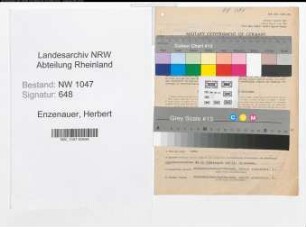 Entnazifizierung Herbert Enzenauer , geb. 01.07.1911 (Arzt)
