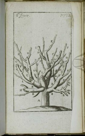 6. figure.