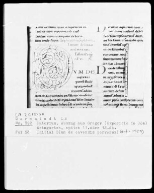 Pseudo-Paterius B (Bruno Monachus) — Initiale D (um de cavendis perversi), Folio 58recto