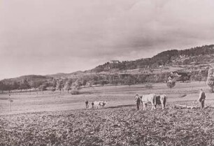 Alpenvorland, Bauern beim Pflügen