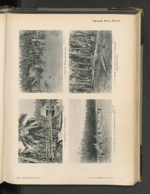 Hambruch, Nauru, Tafel 26.