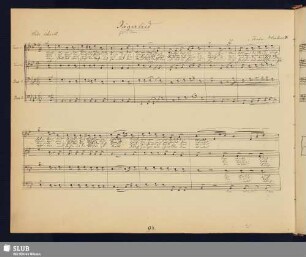 Herbert, Theodor; [undatierter Noten- und Texteintrag]