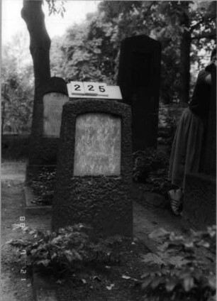 Grabstein 225