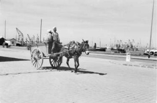 Reisefotos Marokko. Eselskarren an einem Hafen (wahrscheinlich in Casablanca)