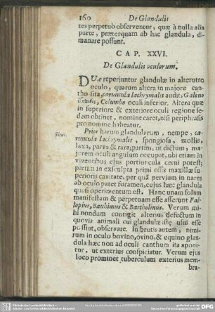 Cap. XXVI. De Glandulis oculorum