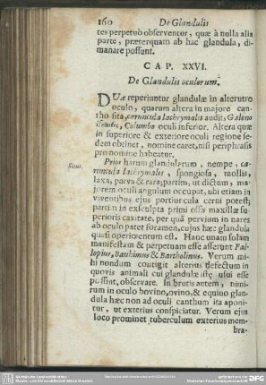 Cap. XXVI. De Glandulis oculorum