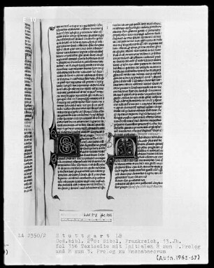 Bibel — Initialen R und M, Folio 356recto