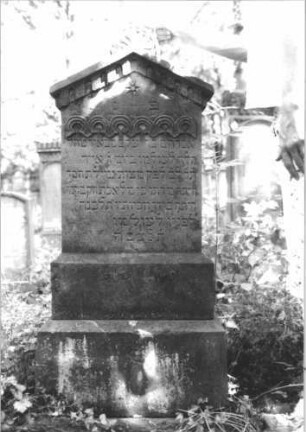 Grabstein 799