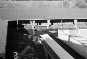 Filser Schluifeld Leitbetrieb Nr. 4 Offenstall, Laufhof, mechanische Fütterung