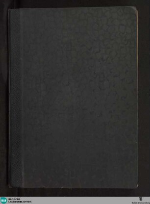 Musterbuch - Cod. Karlsruhe 3500