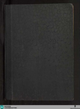 Musterbuch - Cod. Karlsruhe 3500