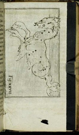 Fig. XXVII.