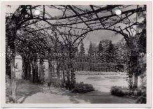 Potsdam, Sanssouci, Sizilianischer Garten