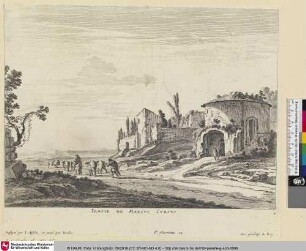 Temple de la Marcus Cursus