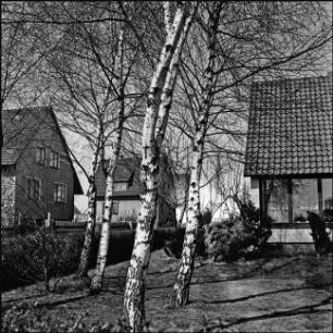 Lönsweg Nr. 6, Garten