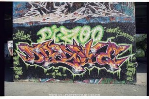 Di-ZOO DRAKE