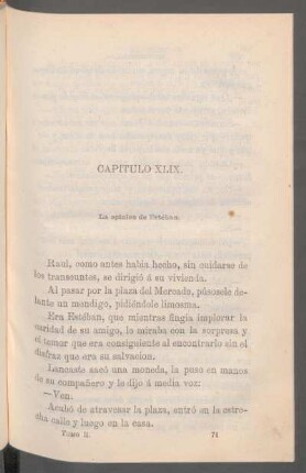 Capítulo XLIX. - La opinión de Estéban.