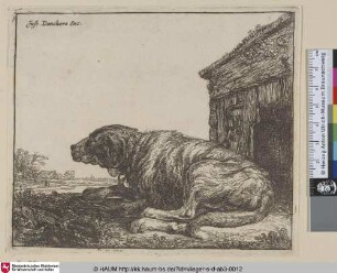 [Angebundener Hund; Tethered Dog; Le chien enchaîné]