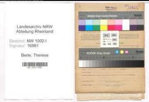 Entnazifizierung Therese Berle, geb. 03.07.1912 (Kontoristin)
