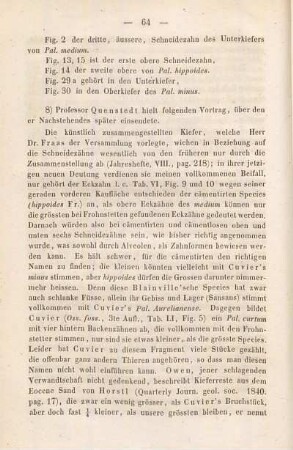 Ueber die Fronstetter Fossilien, über Menschenzähne und über Stylolithen. Von Prof. Quenstedt
