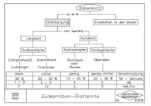 Zuckerrüben-Blatternte