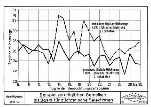 Beispiel von täglichen Gemelken als Basis für züchterische Selektionen