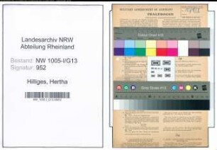 Entnazifizierung Hertha Hilliges , geb. 03.02.1900 (Hausangestellte)