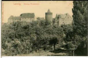 Leisnig. Schloss Mildenstein