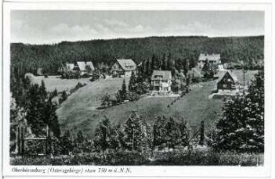 Oberbärenburg. Villen