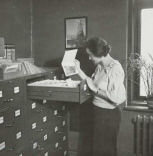 Negativarchiv, Mitarbeiterin im Bildkarte, Sächsische Landesbildstelle, um 1937