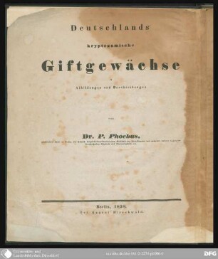 2: Kryptogamen