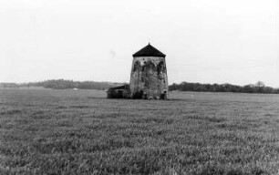 Dahlen-Börln. Turmholländer