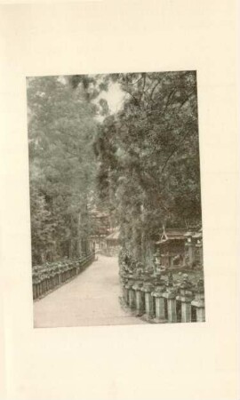 Approach to the Kasuga shrine, Nara