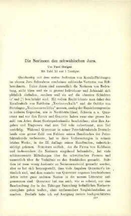 Die Nerineen des schwäbischen Jura