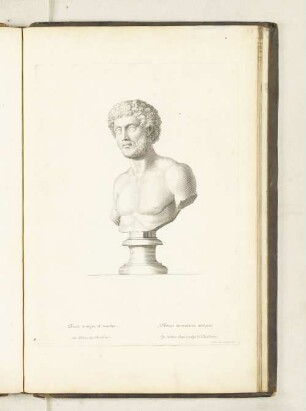 Buste antique de marbre. Au Palais des Thuilleries.