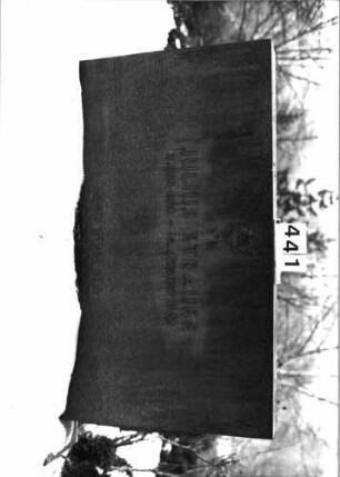 Grabstein 441 (Index: 100092386) Material: Granit Zustand: gut Maße HxBxT: 77x139x17 cm Beschreibung: breite aufgesockelte Stele mit geradem Abschluß Symbolik: Davidstern: Grabstein 441