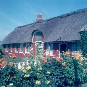 Dänemark. Nordseeinsel Fanø. Reetgedecktes Fischerhaus. Eingangsseite