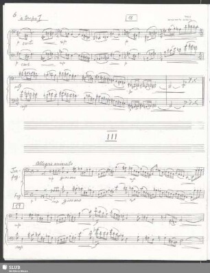 III. Allegro animato