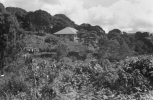 Deutschen Schule von Lushoto : Blick auf die in den Wald eingebettete deutsche Schule von Lushoto.