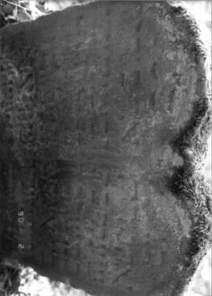 Grabstein 418 (Index: 100115645) Material: Sandstein Zustand: verwittert mit Textverlust, teilweise im Boden eingesunken Maße HxBxT: 63x55x9 cm Beschreibung: Doppelstele mit doppeltem Rundbogen Besonderheit: Doppelgrab für Eheleute: Grabstein 418A (Detailaufnahme)