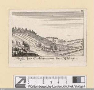 Prosp. des Carlsbrunnen bey Tischingen