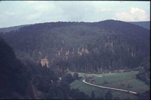 Das Murgtal im Nordschwarzwald