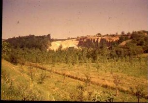 Lauffen, Stauhaltung