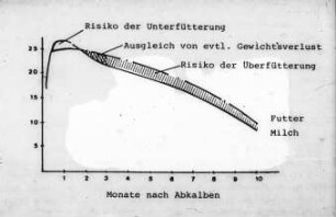 Futter und Milchleistung