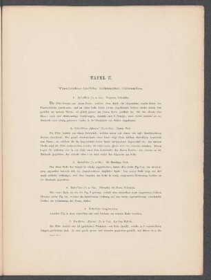 Tafel 17. Verschiedene Geräthe indianischen Gebrauches.