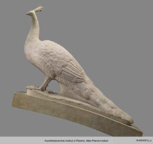 Pfau (Fontana di Sala Grande)