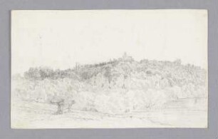 Landschaft mit Kühen