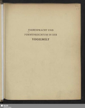 Farbenpracht und Formenreichtum in der Vogelwelt